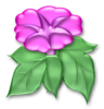 Pink Flower Clipart Image